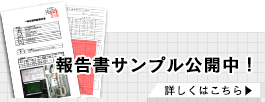 報告書サンプル公開中！